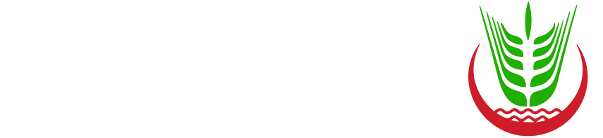 السهل المتقدم